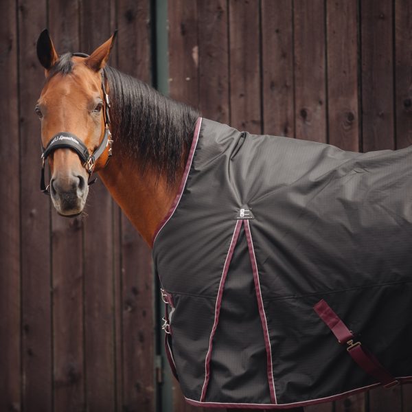 Попона прогулочная MIU Equestrian Avalanche, 300 гр чёрный — изображение 6