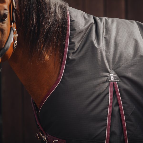 Попона прогулочная MIU Equestrian Avalanche, 300 гр чёрный — изображение 4