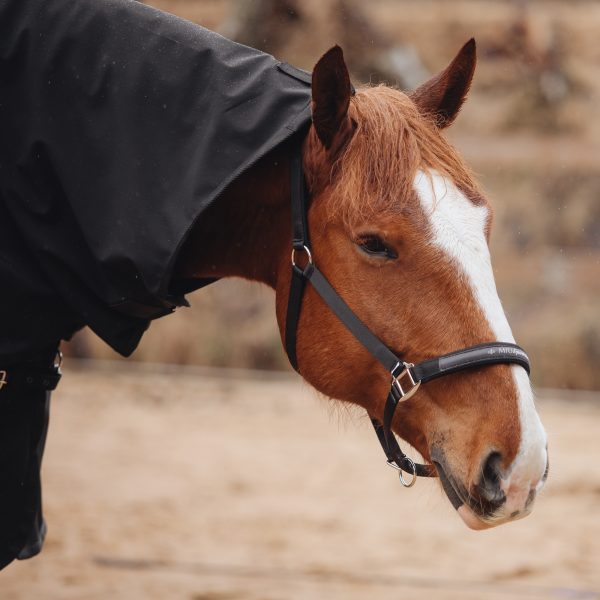 Недоуздок на неопреновых подложках MIU Equestrian Neo чёрный — изображение 4