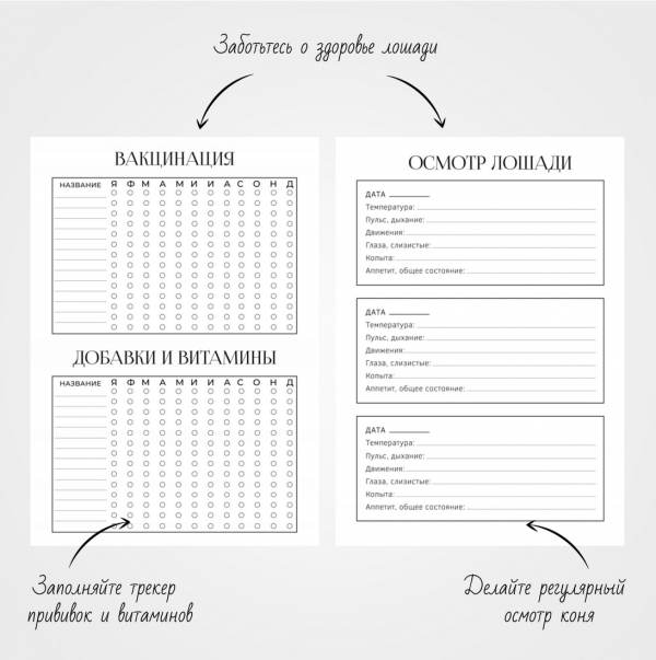 Ежедневник в мягкой обложке «HORSEPLANNER SOFTCOVER» — изображение 14