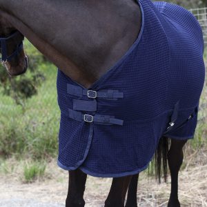 Попона вафельная MIU Equestrian Waffle Cooler синий