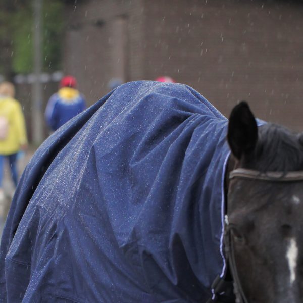 Попона-плащик RAINCOAT с вырезами под стремена — изображение 3