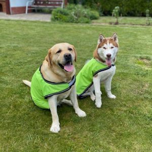 Попона для собаки светоотражающая Reflective Dog Coat зелёный