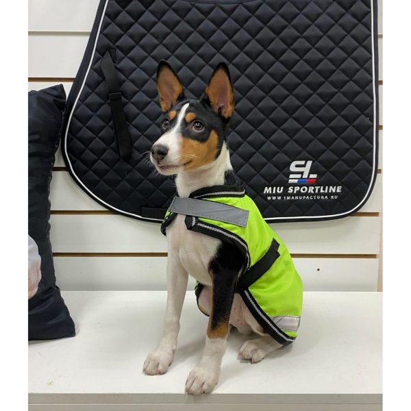 Попона для собаки светоотражающая Reflective Dog Coat зелёный — изображение 8