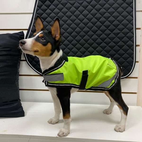 Попона для собаки светоотражающая Reflective Dog Coat зелёный — изображение 10