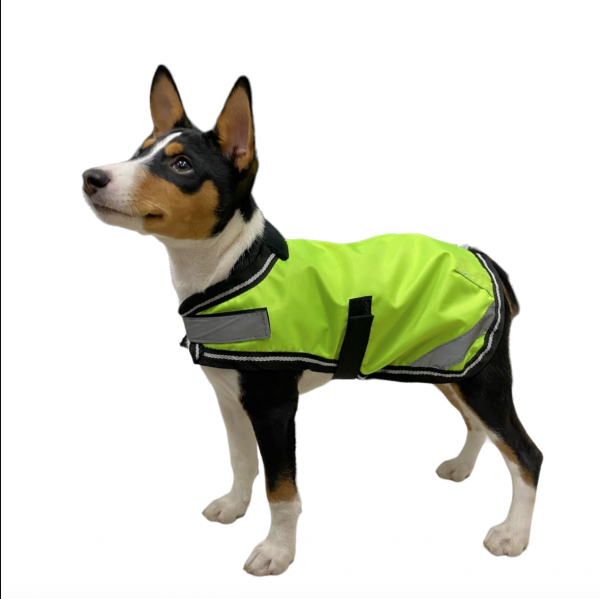 Попона для собаки светоотражающая Reflective Dog Coat зелёный — изображение 6