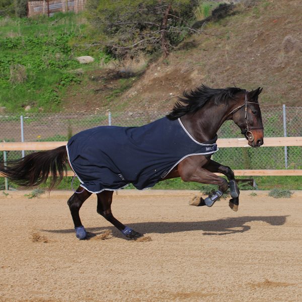 Попона  для шагалки/водилки SOFTSHELL WALKER RUG синий — изображение 6