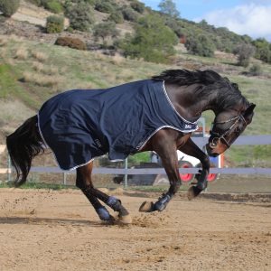 Попона  для шагалки/водилки SOFTSHELL WALKER RUG синий