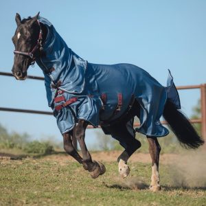 Попона антимоскитная со съемным капором MIU Equestrian Armor