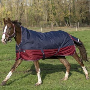 Попона дождевая EQUITHEME 1200D с нейлоновой подкладкой с высокой шеей, чёрная/голубая