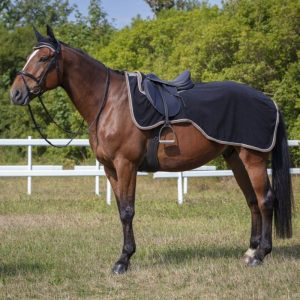 Полупопона рабочая Riding world флисовая, тёмно-синяя