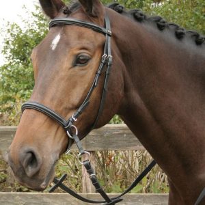 Оголовье безтрензельное Harry's Horse с поводом, чёрное