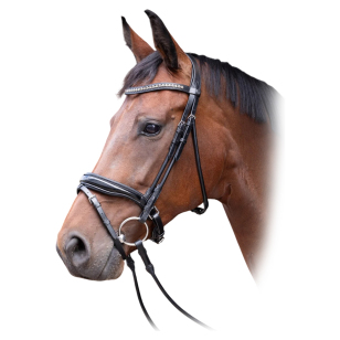 Оголовье трензельное Harry's Horse Lacque округлые ремни, лак, стразы, чёрное