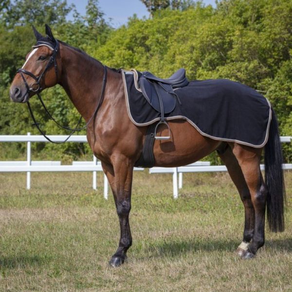 Полупопона рабочая Riding world флисовая, тёмно-синяя