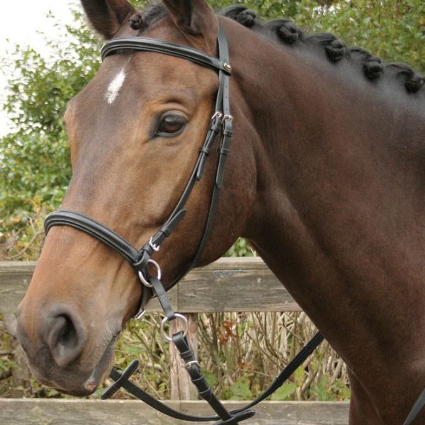 Оголовье безтрензельное Harry's Horse с поводом, чёрное
