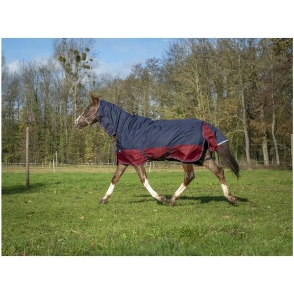 Попона дождевая EQUITHEME 1200 D с капором сине-бордовая
